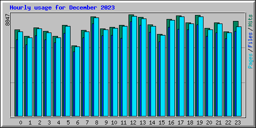 Hourly usage for December 2023